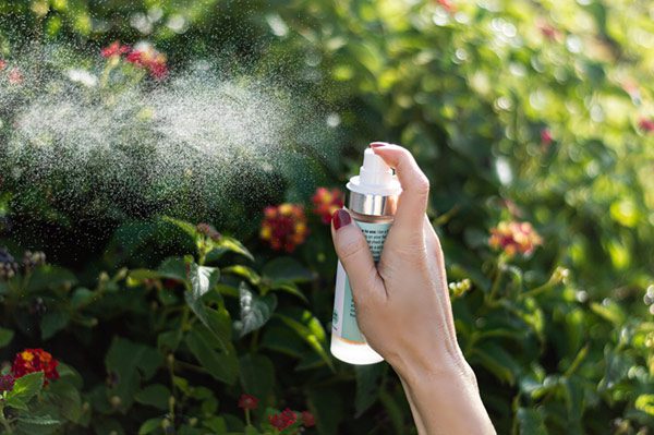 redpantz-how-it-began MY24/7 by Red Pantz certified organic, ayurveda-based self-care products, skin care, specialty teas, mind care