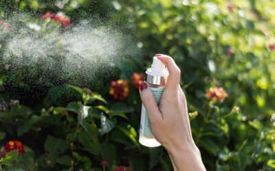 Benefits of neem for skin and body