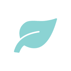 Tulsi ginger tea, organic